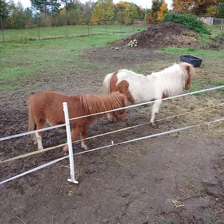 Apartmán Na Sluneční Šluknov